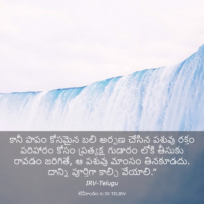 Picture 03 - లేవీకాండం 6:30 TELIRV - కానీ పాపం కోసమైన - Bible Verse Picture