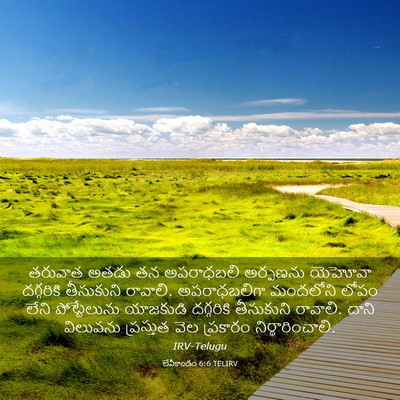Picture 03 - లేవీకాండం 6:6 TELIRV - తరువాత అతడు తన - Bible Verse Picture