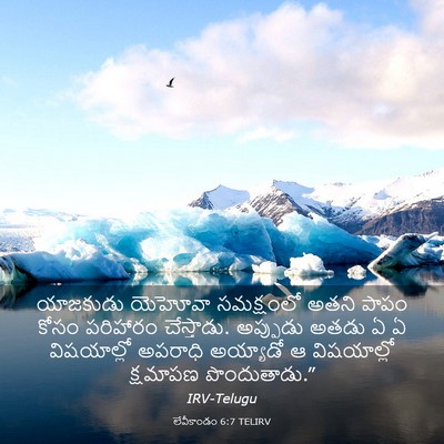 Picture 03 - లేవీకాండం 6:7 TELIRV - యాజకుడు యెహోవా - Bible Verse Picture
