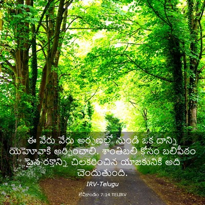 Picture 03 - లేవీకాండం 7:14 TELIRV - ఈ వేరు వేరు - Bible Verse Picture