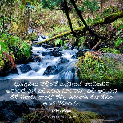 Picture 03 - లేవీకాండం 7:15 TELIRV - కృతజ్ఞతలు - Bible Verse Picture