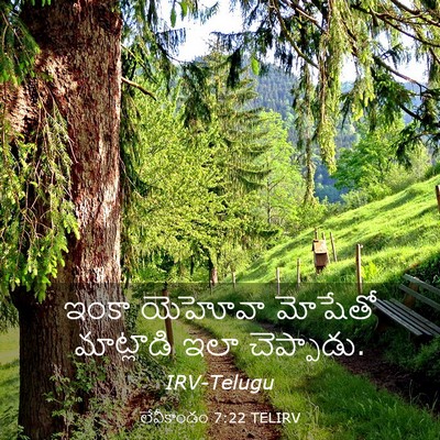 Picture 03 - లేవీకాండం 7:22 TELIRV - ఇంకా యెహోవా - Bible Verse Picture