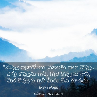 Picture 03 - లేవీకాండం 7:23 TELIRV - “నువ్వు ఇశ్రాయేలు - Bible Verse Picture