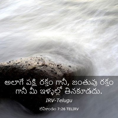 Picture 03 - లేవీకాండం 7:26 TELIRV - అలాగే పక్షి రక్తం - Bible Verse Picture