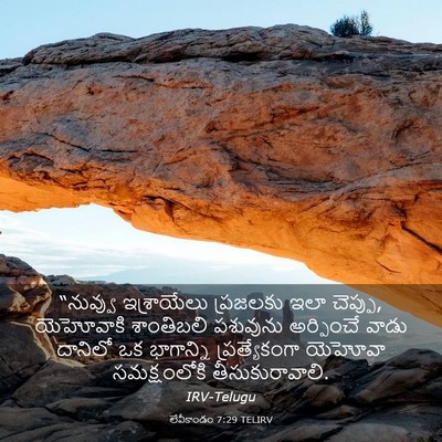 Picture 03 - లేవీకాండం 7:29 TELIRV - “నువ్వు ఇశ్రాయేలు - Bible Verse Picture
