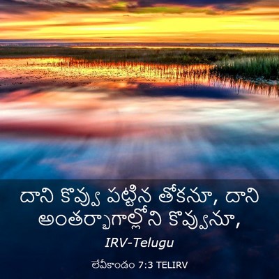 Picture 03 - లేవీకాండం 7:3 TELIRV - దాని కొవ్వు - Bible Verse Picture