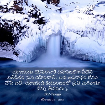Picture 03 - లేవీకాండం 7:5 TELIRV - యాజకుడు యెహోవాకి - Bible Verse Picture