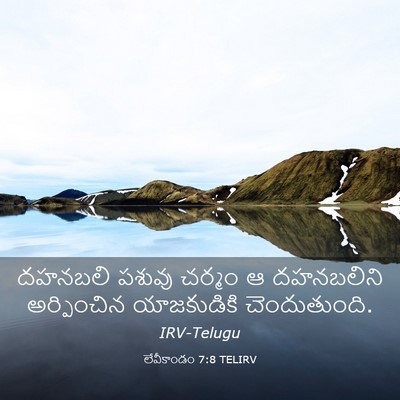 Picture 03 - లేవీకాండం 7:8 TELIRV - దహనబలి పశువు - Bible Verse Picture