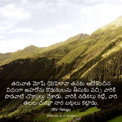 Picture 03 - లేవీకాండం 8:13 TELIRV - తరువాత మోషే - Bible Verse Picture