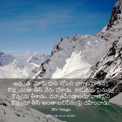 Picture 03 - లేవీకాండం 8:16 TELIRV - అప్పుడు మోషే దాని - Bible Verse Picture