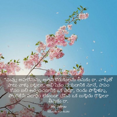 Picture 03 - లేవీకాండం 8:2 TELIRV - “నువ్వు అహరోనును, - Bible Verse Picture
