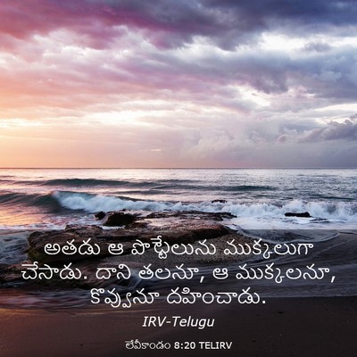 Picture 03 - లేవీకాండం 8:20 TELIRV - అతడు ఆ పొట్టేలును - Bible Verse Picture