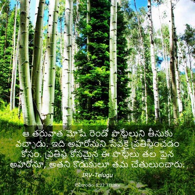 Picture 03 - లేవీకాండం 8:22 TELIRV - ఆ తరువాత మోషే - Bible Verse Picture
