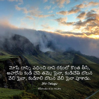 Picture 03 - లేవీకాండం 8:23 TELIRV - మోషే దాన్ని - Bible Verse Picture