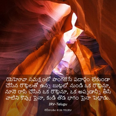 Picture 03 - లేవీకాండం 8:26 TELIRV - యెహోవా సమక్షంలో - Bible Verse Picture