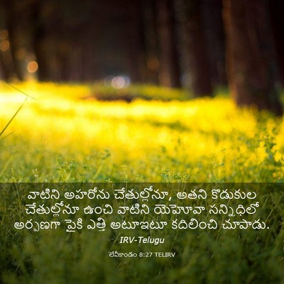 Picture 03 - లేవీకాండం 8:27 TELIRV - వాటిని అహరోను - Bible Verse Picture