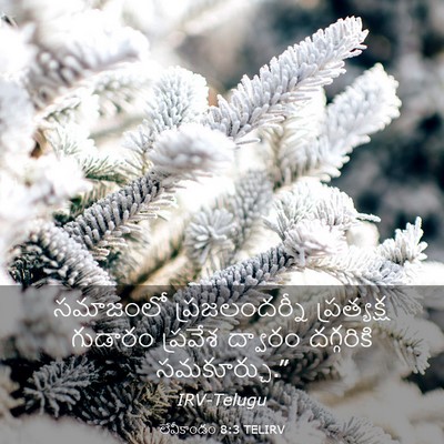 Picture 03 - లేవీకాండం 8:3 TELIRV - సమాజంలో - Bible Verse Picture