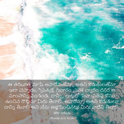 Picture 03 - లేవీకాండం 8:31 TELIRV - ఆ తరువాత మోషే - Bible Verse Picture