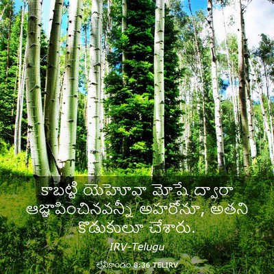 Picture 03 - లేవీకాండం 8:36 TELIRV - కాబట్టి యెహోవా - Bible Verse Picture
