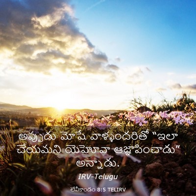 Picture 03 - లేవీకాండం 8:5 TELIRV - అప్పుడు మోషే - Bible Verse Picture