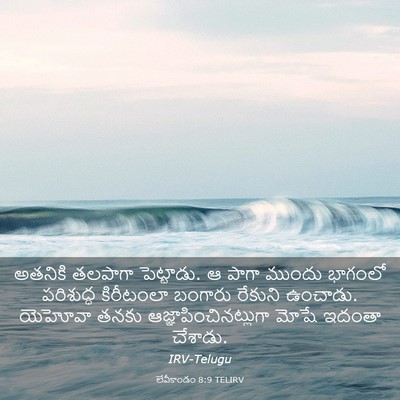 Picture 03 - లేవీకాండం 8:9 TELIRV - అతనికి తలపాగా - Bible Verse Picture