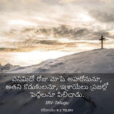 Picture 03 - లేవీకాండం 9:1 TELIRV - ఎనిమిదో రోజు మోషే - Bible Verse Picture