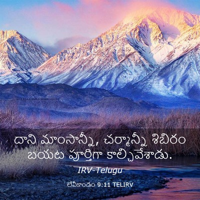 Picture 03 - లేవీకాండం 9:11 TELIRV - దాని మాంసాన్నీ, - Bible Verse Picture