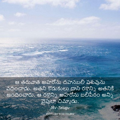 Picture 03 - లేవీకాండం 9:12 TELIRV - ఆ తరువాత అహరోను - Bible Verse Picture