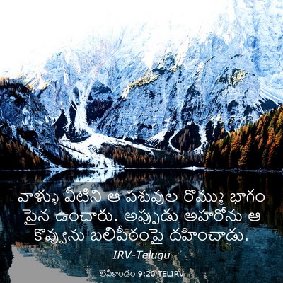 Picture 03 - లేవీకాండం 9:20 TELIRV - వాళ్ళు వీటిని ఆ - Bible Verse Picture