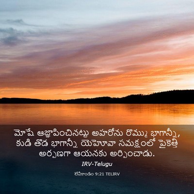 Picture 03 - లేవీకాండం 9:21 TELIRV - మోషే - Bible Verse Picture