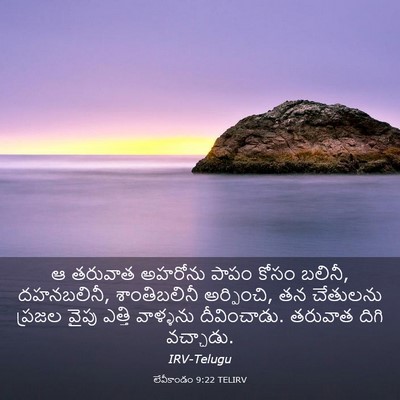 Picture 03 - లేవీకాండం 9:22 TELIRV - ఆ తరువాత అహరోను - Bible Verse Picture