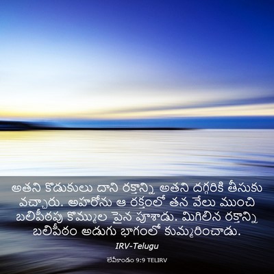 Picture 03 - లేవీకాండం 9:9 TELIRV - అతని కొడుకులు - Bible Verse Picture