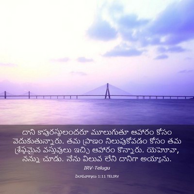 Picture 03 - విలాపవాక్యాలు 1:11 TELIRV - దాని - Bible Verse Picture
