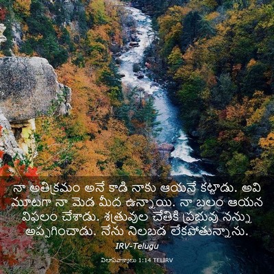 Picture 03 - విలాపవాక్యాలు 1:14 TELIRV - నా అతిక్రమం అనే - Bible Verse Picture