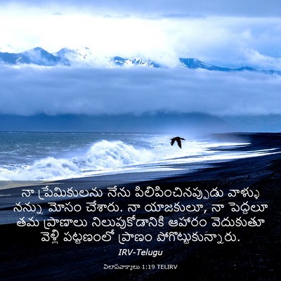 Picture 03 - విలాపవాక్యాలు 1:19 TELIRV - నా ప్రేమికులను - Bible Verse Picture