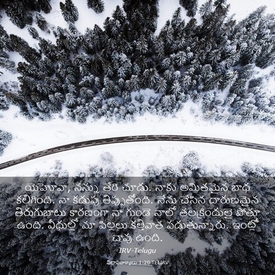 Picture 03 - విలాపవాక్యాలు 1:20 TELIRV - యెహోవా, నన్ను తేరి - Bible Verse Picture