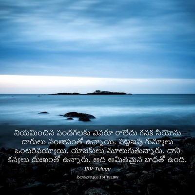 Picture 03 - విలాపవాక్యాలు 1:4 TELIRV - నియమించిన పండగలకు - Bible Verse Picture
