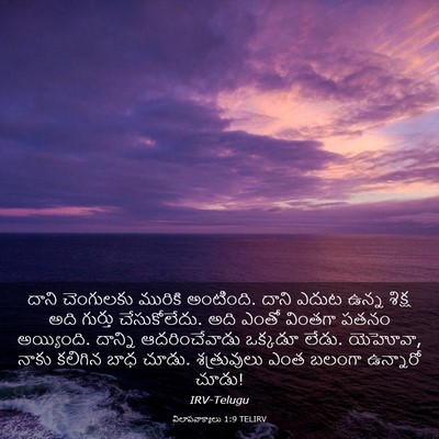 Picture 03 - విలాపవాక్యాలు 1:9 TELIRV - దాని చెంగులకు - Bible Verse Picture