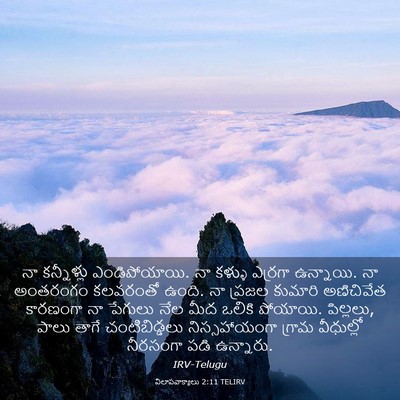 Picture 03 - విలాపవాక్యాలు 2:11 TELIRV - నా కన్నీళ్లు - Bible Verse Picture