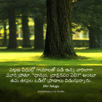 Picture 03 - విలాపవాక్యాలు 2:12 TELIRV - పట్టణ వీధుల్లో - Bible Verse Picture