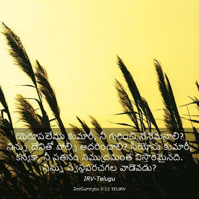Picture 03 - విలాపవాక్యాలు 2:13 TELIRV - యెరూషలేము కుమారీ, - Bible Verse Picture