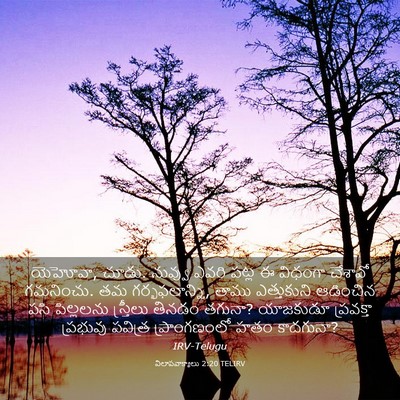 Picture 03 - విలాపవాక్యాలు 2:20 TELIRV - యెహోవా, చూడు. - Bible Verse Picture