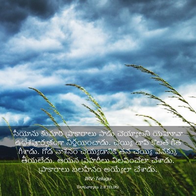 Picture 03 - విలాపవాక్యాలు 2:8 TELIRV - సీయోను కుమారి - Bible Verse Picture