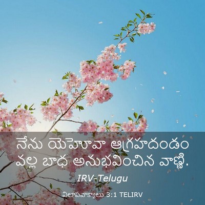 Picture 03 - విలాపవాక్యాలు 3:1 TELIRV - నేను యెహోవా - Bible Verse Picture
