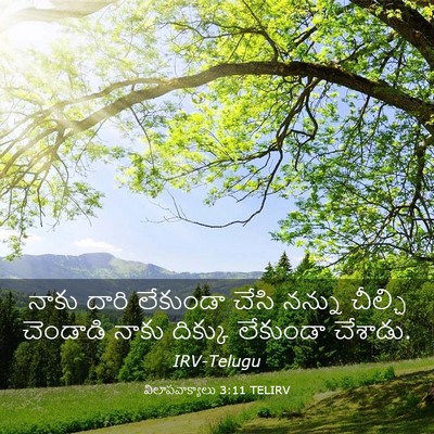 Picture 03 - విలాపవాక్యాలు 3:11 TELIRV - నాకు దారి లేకుండా - Bible Verse Picture