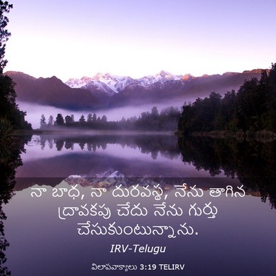 Picture 03 - విలాపవాక్యాలు 3:19 TELIRV - నా బాధ, నా దురవస్థ, - Bible Verse Picture