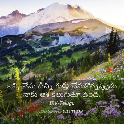 Picture 03 - విలాపవాక్యాలు 3:21 TELIRV - కాని, నేను దీన్ని - Bible Verse Picture