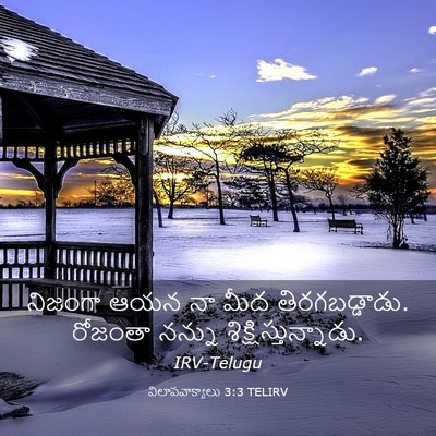Picture 03 - విలాపవాక్యాలు 3:3 TELIRV - నిజంగా ఆయన నా మీద - Bible Verse Picture
