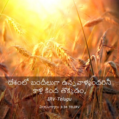 Picture 03 - విలాపవాక్యాలు 3:34 TELIRV - దేశంలో బందీలుగా - Bible Verse Picture
