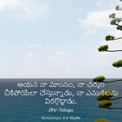 Picture 03 - విలాపవాక్యాలు 3:4 TELIRV - ఆయన నా మాంసం, నా - Bible Verse Picture